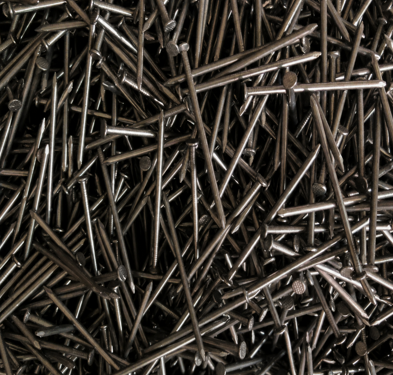 Common Nails — view 2